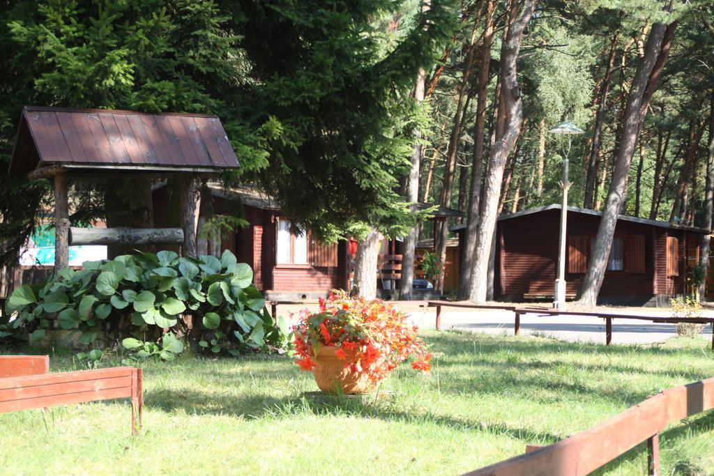 Osrodek Portus Villa Międzywodzie Rom bilde