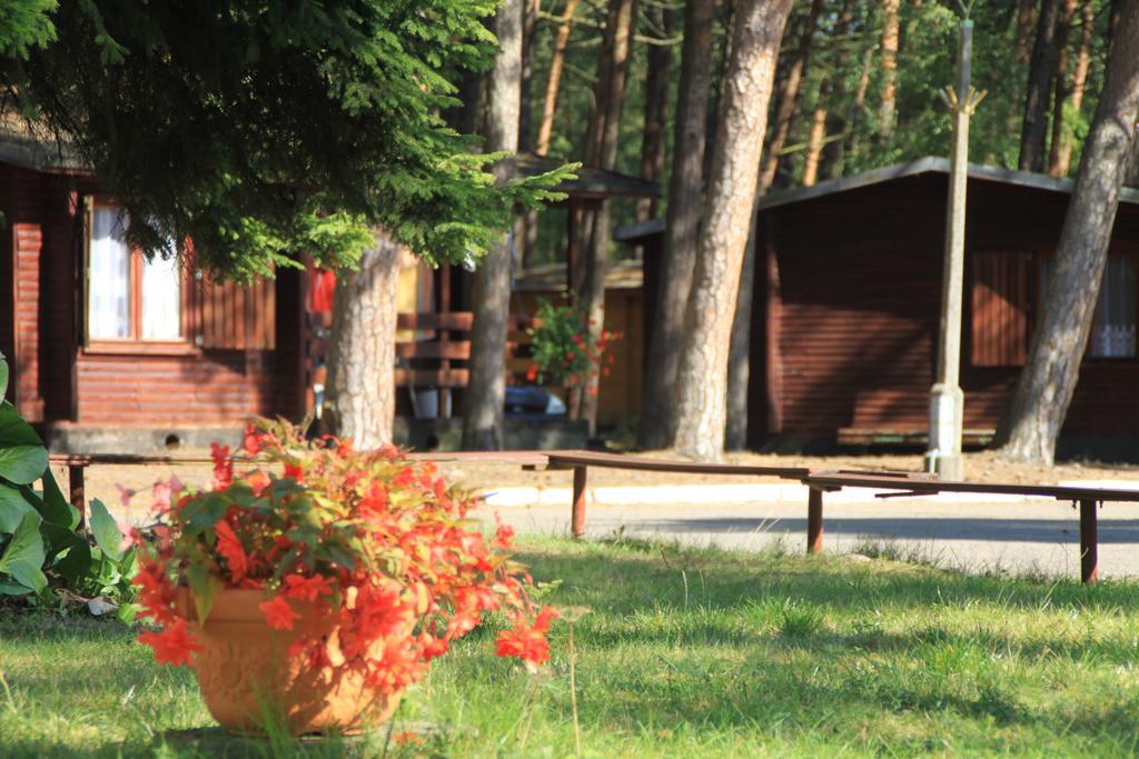 Osrodek Portus Villa Międzywodzie Rom bilde